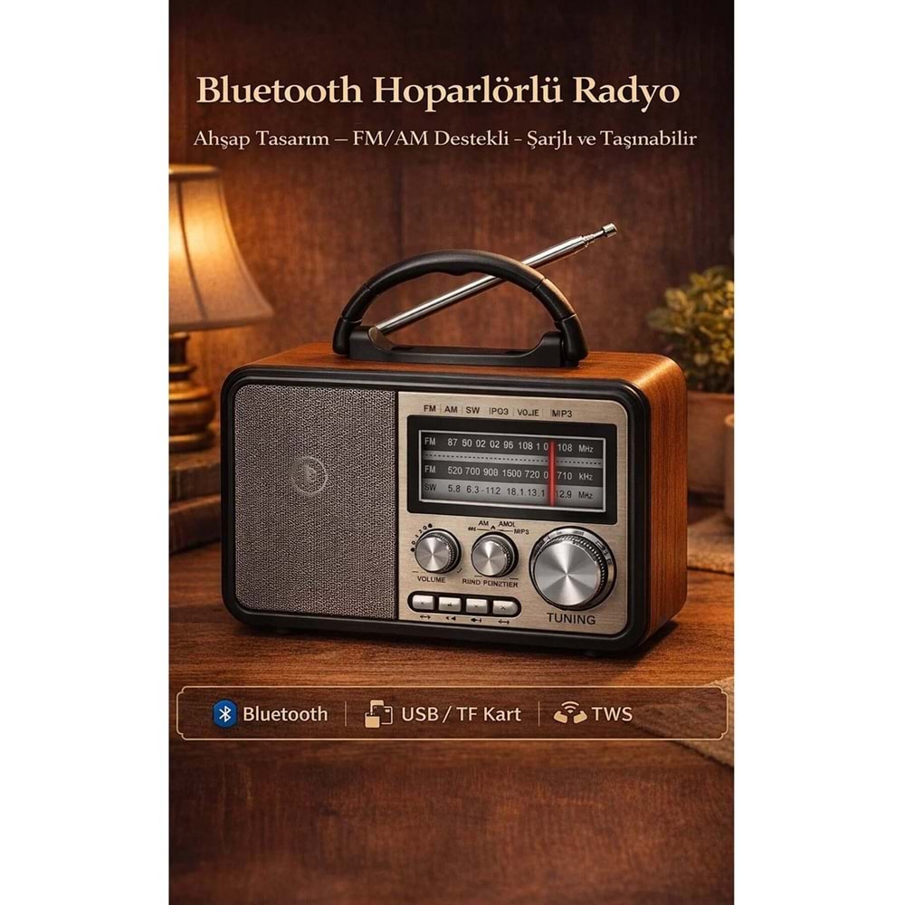 Leader LR-241 Radio/BT/USB/TF Retro Müzik Kutusu