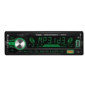 Fi Audio FR3000 FM/BT/AUX/2 USB/TF Oto Teyp