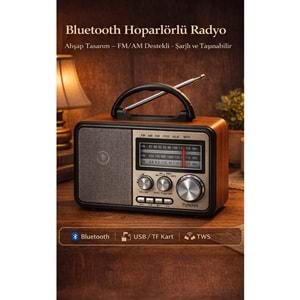 Leader LR-241 Radio/BT/USB/TF Retro Müzik Kutusu