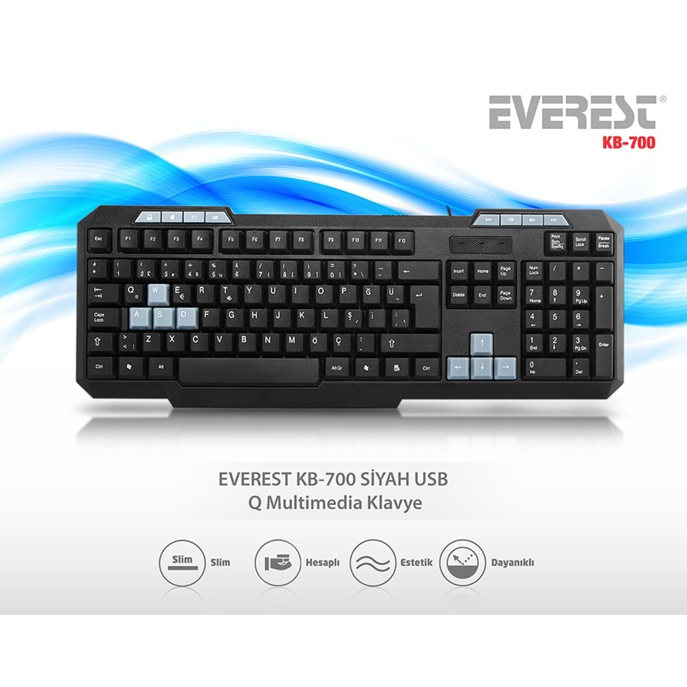 Everest KB-700 Siyah USB Klavye